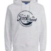 Jack & Jones Hoodie "Jormbappe" In Grau