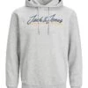 Jack & Jones Hoodie "Tons" In Hellgrau