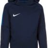 Nike Hoodie Dry Academy18 In Blau